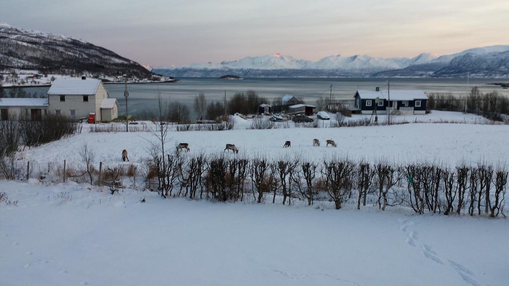 Utsikten Feriehus I Bakkeby 외부 사진